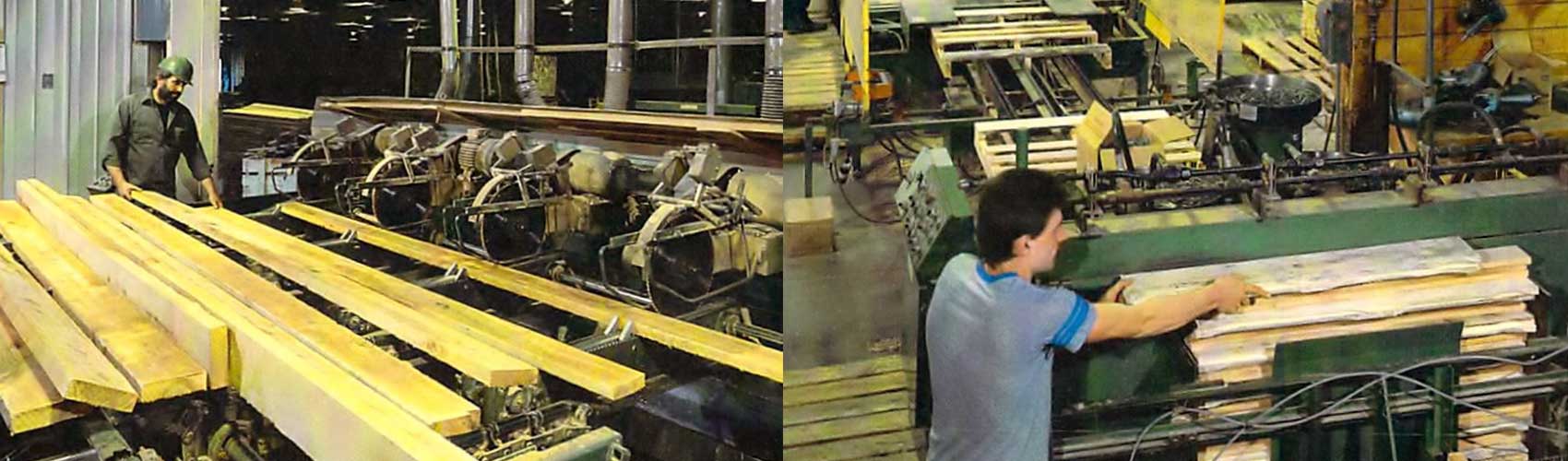 Banner Image, People working on Pallets