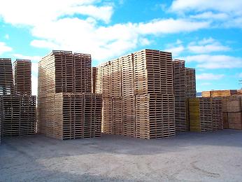 Our Pallets on our lot