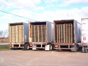 Pallets ont the back of semi trailers